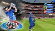 Cricket Play 3D: Live The Game screenshot 6