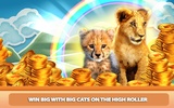 Casino Kitty screenshot 1