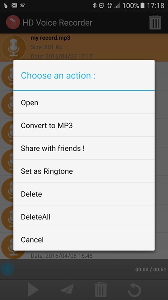 HD Voice Recorder - Preview 2