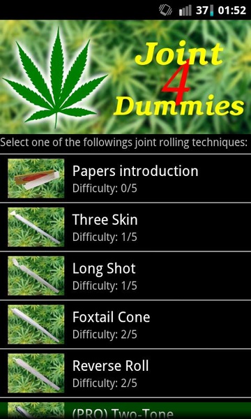 Joint 4 Dummies - Preview 4