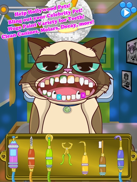 Celebrity Dentist Office Pets Free - Preview 3