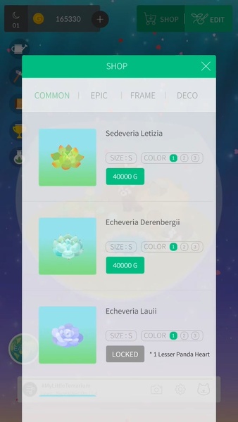 My Little Terrarium - Preview 7