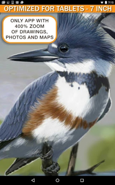 iBird Lite - Preview 15