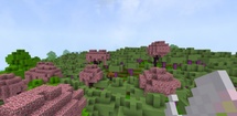KawaiiWorld feature