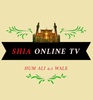 Shia Online Tv screenshot 2