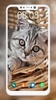 Cat Wallpaper HD screenshot 6