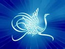 Arabic Calligraphy Wallpapers screenshot 6