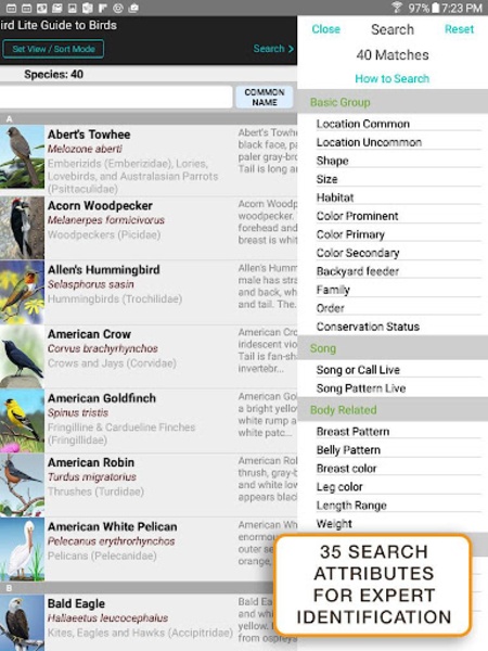 iBird Lite - Preview 2