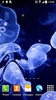 Jellyfish Live Wallpaper screenshot 5