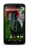 Parrot 3D Video Live Wallpaper screenshot 3