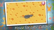 Cat Mouse Toy screenshot 3