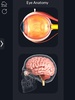 My Eye Anatomy screenshot 8