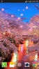 Sakura Live Wallpaper PRO screenshot 4