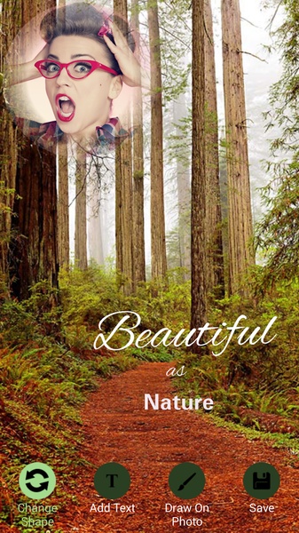 Forest Frames - Preview 4