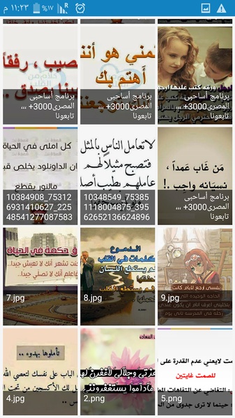 collection Egy Dream - Preview 3