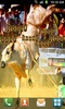 Bull Rodeo Live Wallpaper screenshot 12