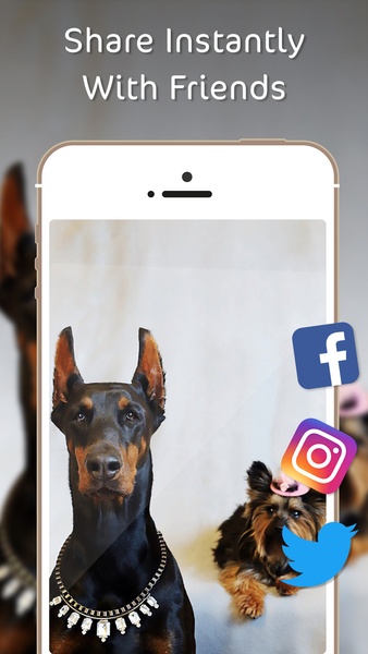 Dog Wallpapers (HD) - Preview 7
