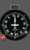 Aircraft Compass Free screenshot 7