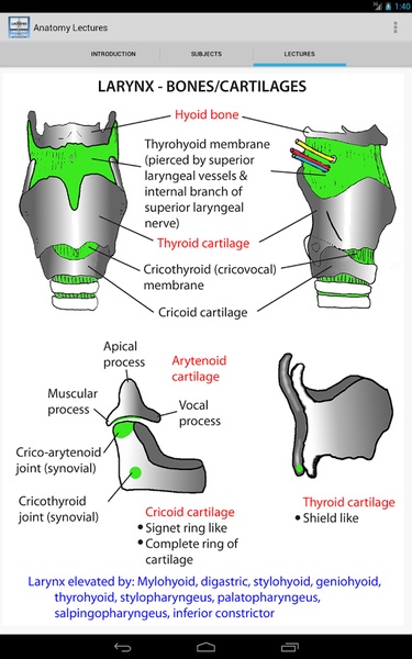 Anatomy Lectures - Preview 7