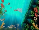 Coral Reef Aquarium 3D Animated Wallpaper screenshot 1