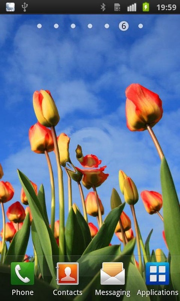 Flowers Reflection Free - Preview 3