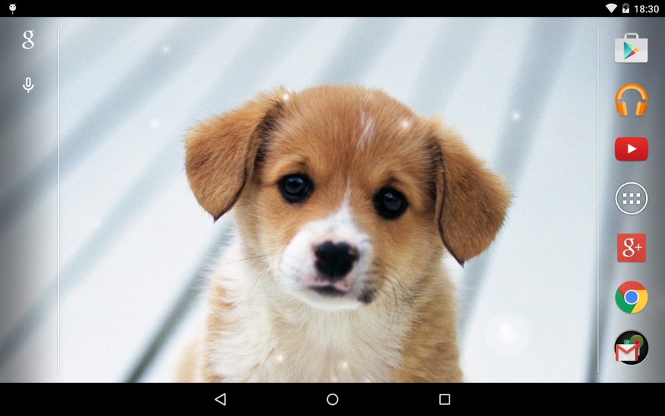 Puppies - Preview 4