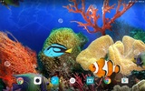Coral Fish Live Wallpaper screenshot 1