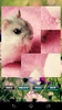 Hamster Puzzles screenshot 10