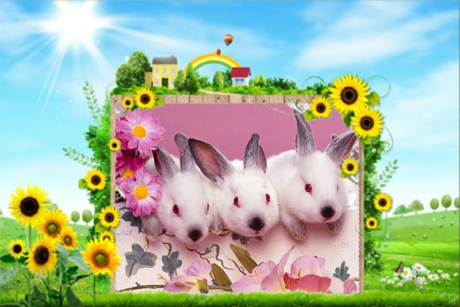 Photo Frames World Flower - Preview 1