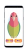 Animal puzzles screenshot 2