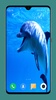 Dolphin Wallpaper HD screenshot 6