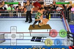 Wrestling Revolution screenshot 6