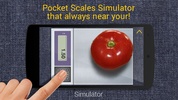 Pocket Scale Simulator 2 screenshot 2
