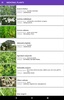 Plantes medicinales screenshot 5