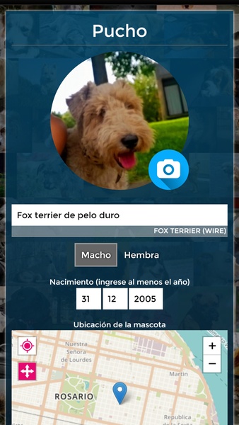 LinkingPets - Preview 1