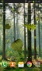 Forest LWP screenshot 3