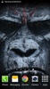 Dawn of the Planet of the Apes screenshot 3