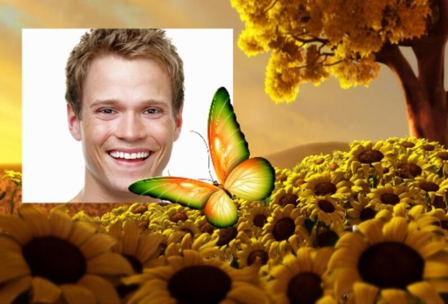 Butterfly Photo Frames - Preview 8