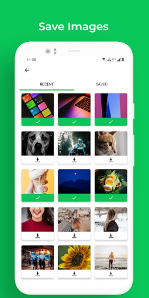 WABox - Preview 1