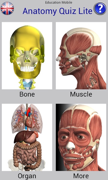 Anatomy Quiz Lite - Preview 16