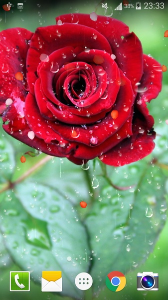 Rose Drops Live Wallpaper - Preview 4