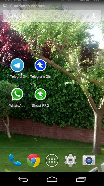 Telegram Ghost - Preview 4