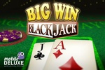 Big Win Blackjack screenshot 1