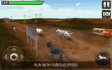 Greyhound Dog Racing 3D screenshot 11