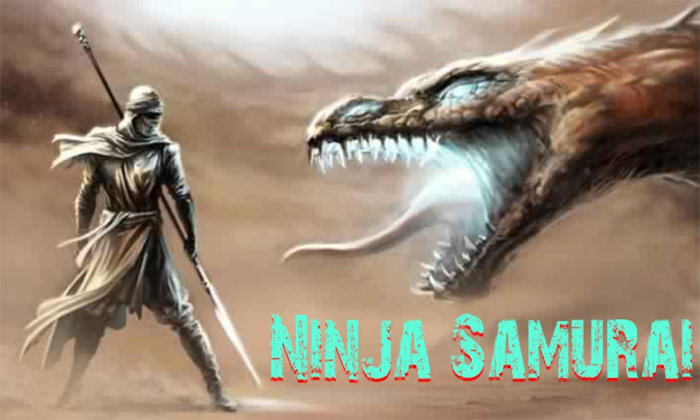 Samurai vs Ninja - Preview 4