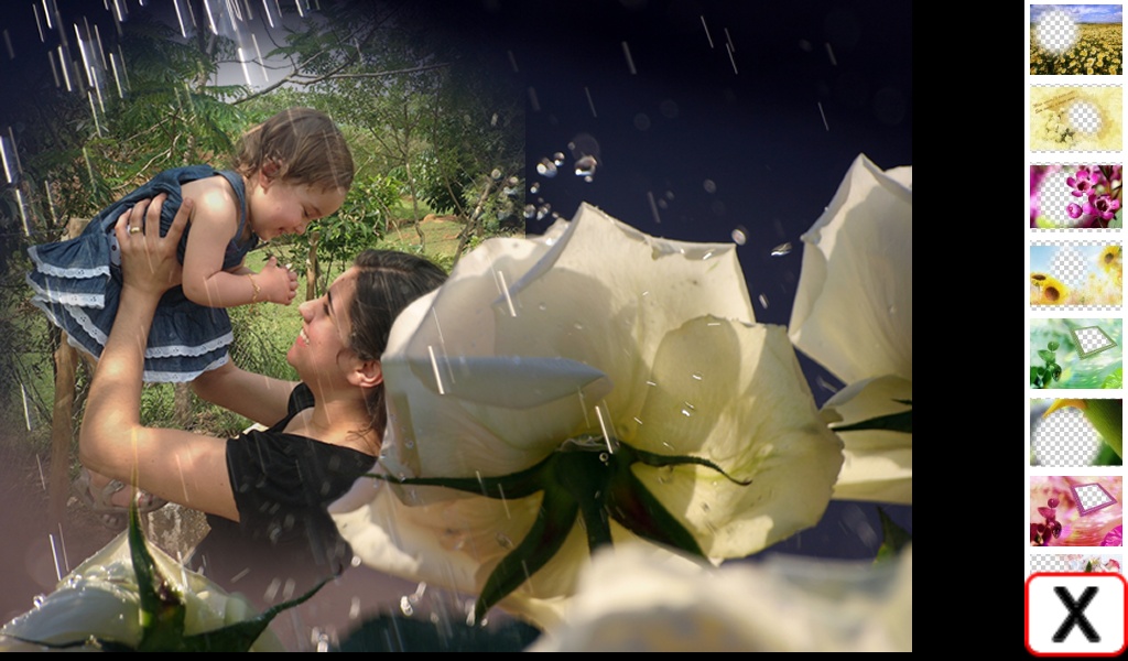 FlowersFrames - Preview 1