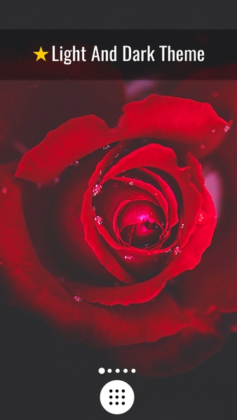 Flowers HD Wallpapers - Preview 4