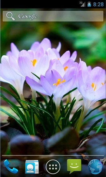 Amazing Spring Flowers - Preview 2
