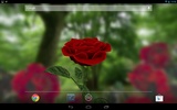 3D Rose Live Wallpaper Free screenshot 6