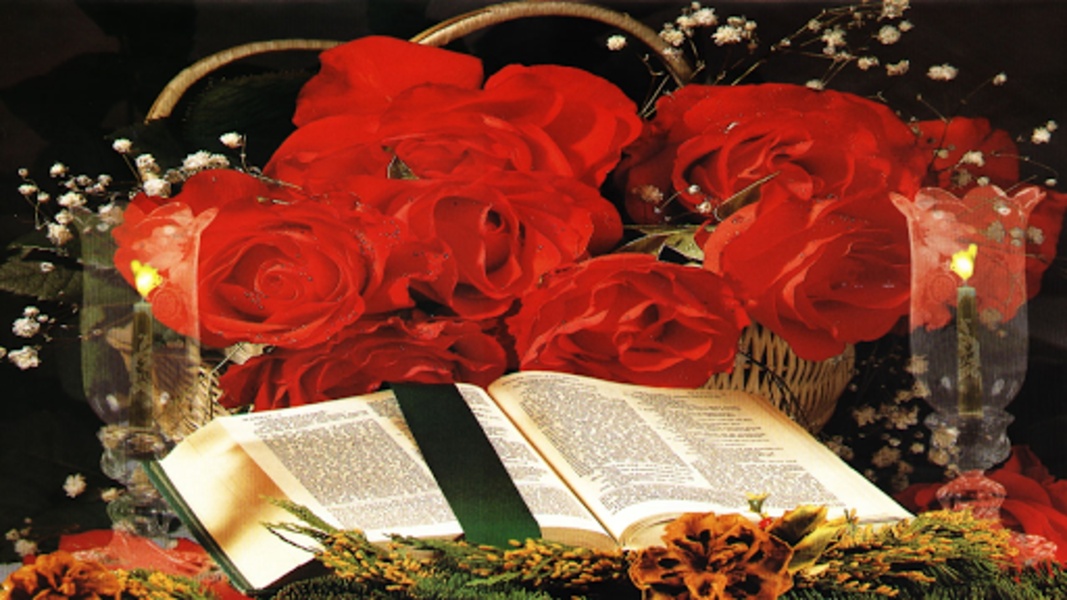 Estudios Biblicos Cristianos - Preview 2